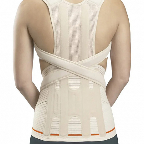 Модуль грудопоясничный Orliman Dorso Evotec EV-203. Изображение 2 из 2